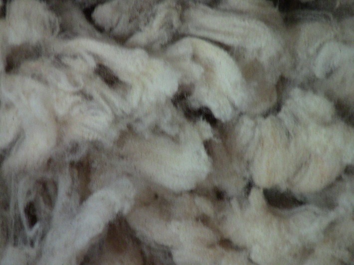 Wool Closeup1